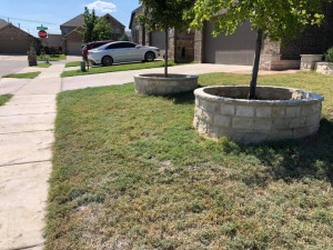 Stone Masonry Tree Boarder Walls