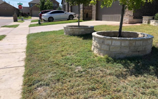 Stone Masonry Tree Boarder Walls