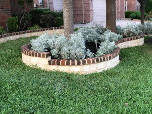 Stone and Brick Masonry Tree and Landscape Border