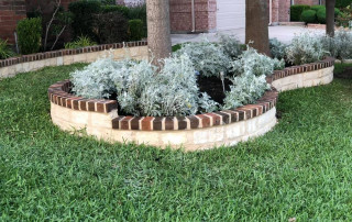 Stone and Brick Masonry Tree and Landscape Border