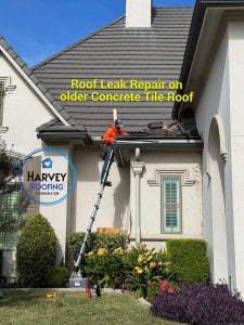Technician on Concrete Tile Roof Repairing Leak