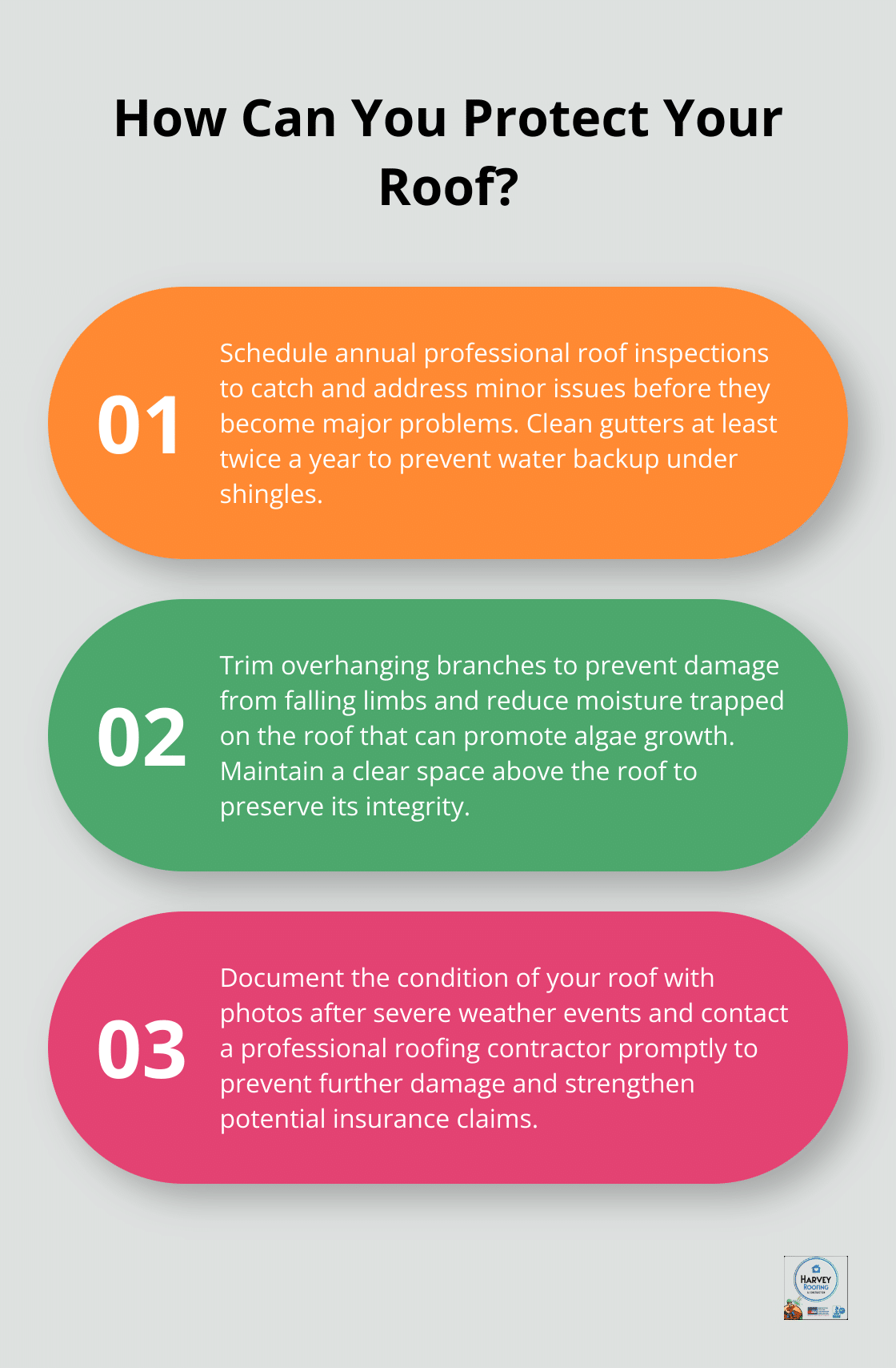 Infographic: How Can You Protect Your Roof?