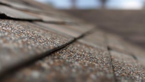 Malarkey Roof Shingles: Honest Reviews and Insights